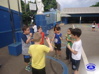 1º ano: estudo do LH