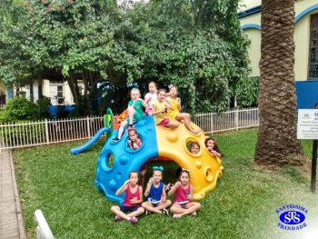1º ano: estudo do LH