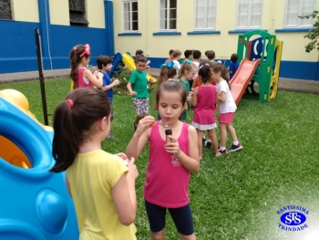 1º ano: estudo do LH