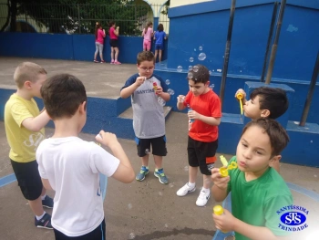 1º ano: estudo do LH