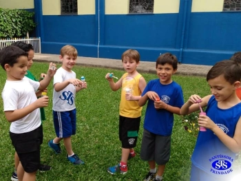 1º ano: estudo do LH