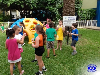 1º ano: estudo do LH
