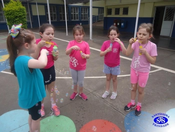 1º ano: estudo do LH