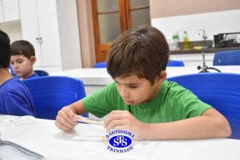 Turmas de 1º ao 3º ano estudam hábitos e ciclo de vida do mosquito da dengue 