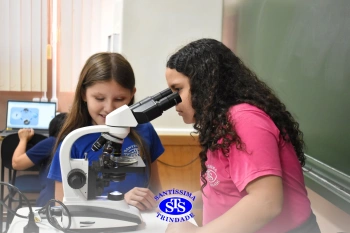 Turmas de 1º ao 3º ano estudam hábitos e ciclo de vida do mosquito da dengue 