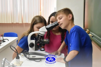 Turmas de 1º ao 3º ano estudam hábitos e ciclo de vida do mosquito da dengue 
