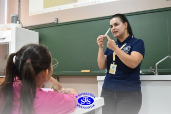 Turmas de 1º ao 3º ano estudam hábitos e ciclo de vida do mosquito da dengue 