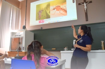 Turmas de 1º ao 3º ano estudam hábitos e ciclo de vida do mosquito da dengue 