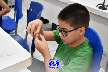 Turmas de 1º ao 3º ano estudam hábitos e ciclo de vida do mosquito da dengue 
