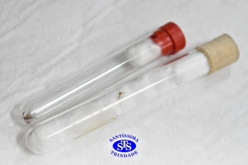 Turmas de 1º ao 3º ano estudam hábitos e ciclo de vida do mosquito da dengue 