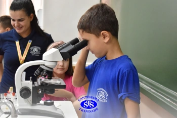 Turmas de 1º ao 3º ano estudam hábitos e ciclo de vida do mosquito da dengue 