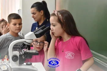 Turmas de 1º ao 3º ano estudam hábitos e ciclo de vida do mosquito da dengue 