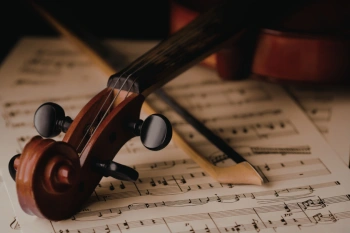 Violino