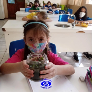 3º ano | Confecção de terrário