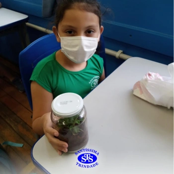 3º ano | Confecção de terrário
