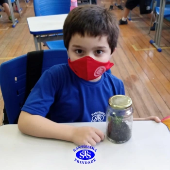 3º ano | Confecção de terrário