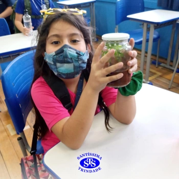 3º ano | Confecção de terrário