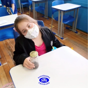 3º ano | Confecção de terrário