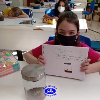 3º ano | Confecção de terrário