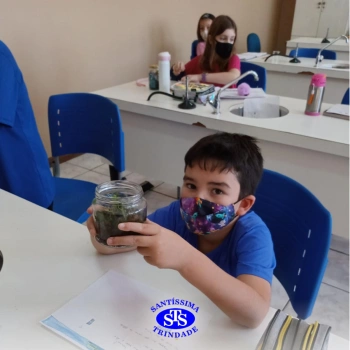 3º ano | Confecção de terrário