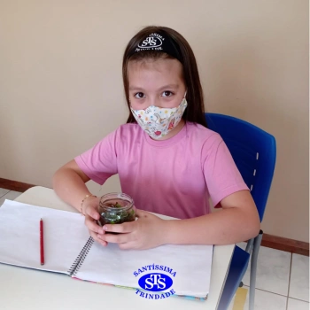 3º ano | Confecção de terrário