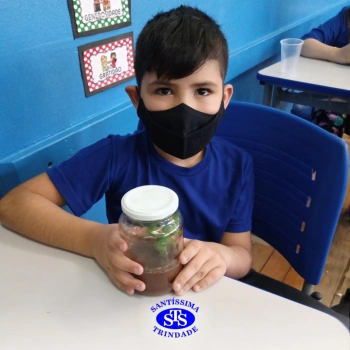 3º ano | Confecção de terrário