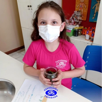 3º ano | Confecção de terrário