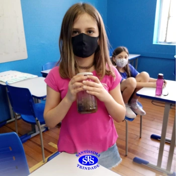 3º ano | Confecção de terrário