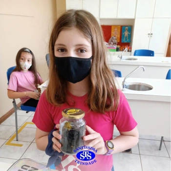 3º ano | Confecção de terrário