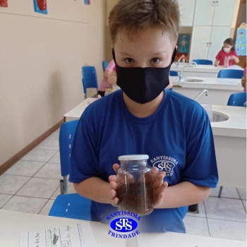 3º ano | Confecção de terrário