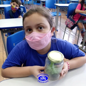 3º ano | Confecção de terrário