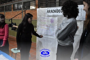 7º ano | Feira de Ciências promove múltiplas aprendizagens