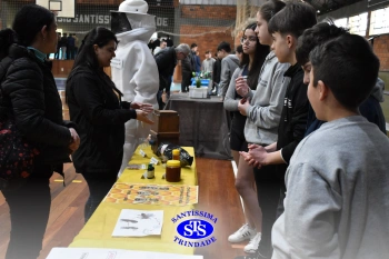 7º ano | Feira de Ciências promove múltiplas aprendizagens