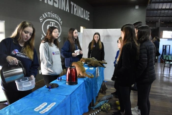 7º ano | Feira de Ciências promove múltiplas aprendizagens