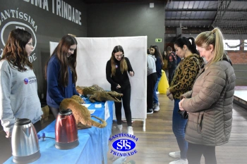 7º ano | Feira de Ciências promove múltiplas aprendizagens