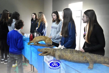 7º ano | Feira de Ciências promove múltiplas aprendizagens