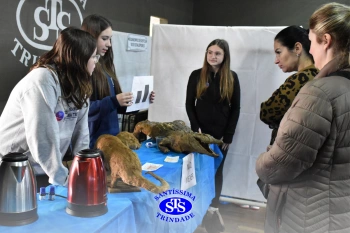 7º ano | Feira de Ciências promove múltiplas aprendizagens