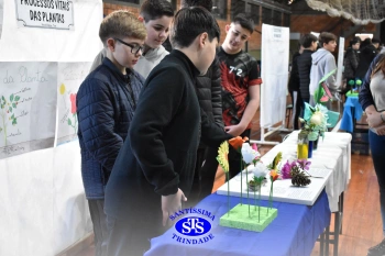 7º ano | Feira de Ciências promove múltiplas aprendizagens