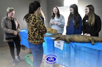 7º ano | Feira de Ciências promove múltiplas aprendizagens