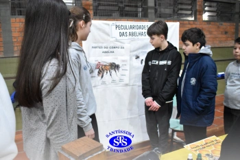 7º ano | Feira de Ciências promove múltiplas aprendizagens