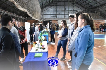 7º ano | Feira de Ciências promove múltiplas aprendizagens