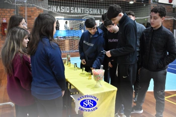 7º ano | Feira de Ciências promove múltiplas aprendizagens