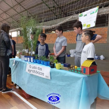 Feira de Ciências | 6º ano 