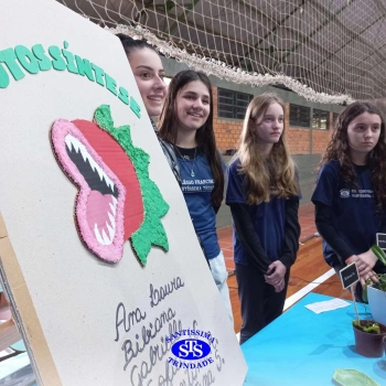 Feira de Ciências | 6º ano 