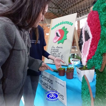 Feira de Ciências | 6º ano 