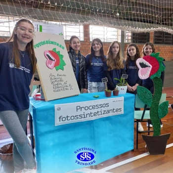 Feira de Ciências | 6º ano 