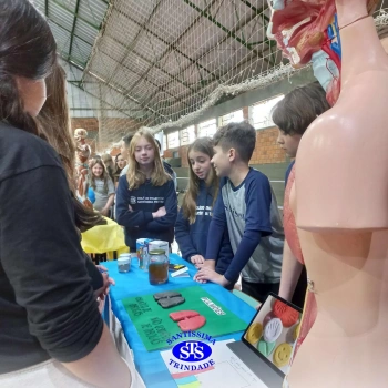 Feira de Ciências | 6º ano 