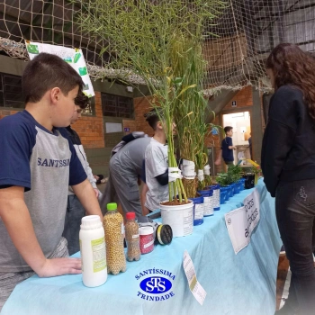 Feira de Ciências | 6º ano 