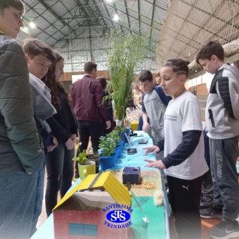 Feira de Ciências | 6º ano 