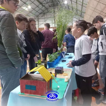 Feira de Ciências | 6º ano 